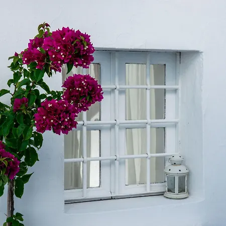 Prekas * Imerovigli (Santorini)